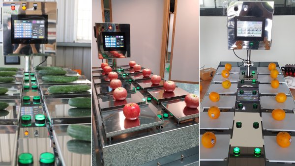 智能蔬果自動秤重機
