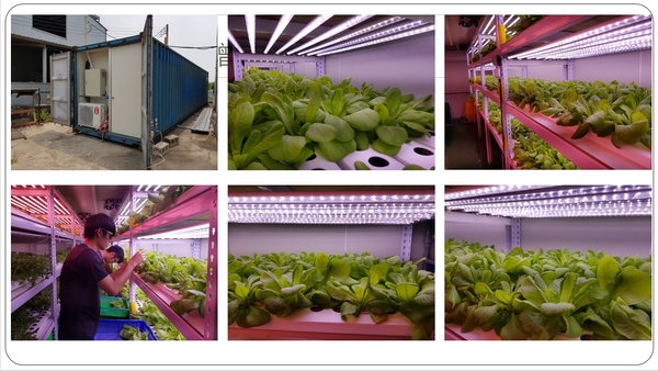 貨櫃型植物工廠 3