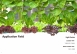 設施植物補光系列