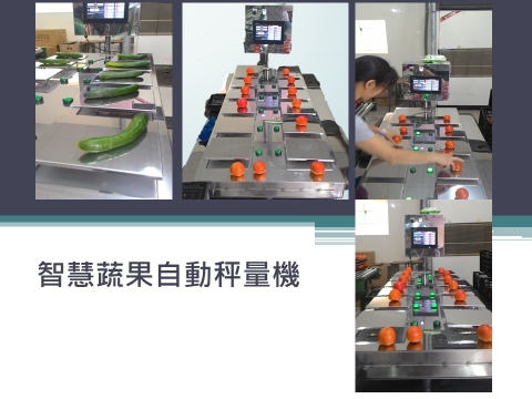 智能蔬果自動秤重機 1